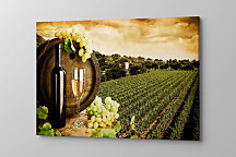 Obraz In vino veritas zs1133